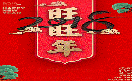 中非经贸港新春晚会十八般武艺齐上阵，精彩纷呈，为大家拜年啦！